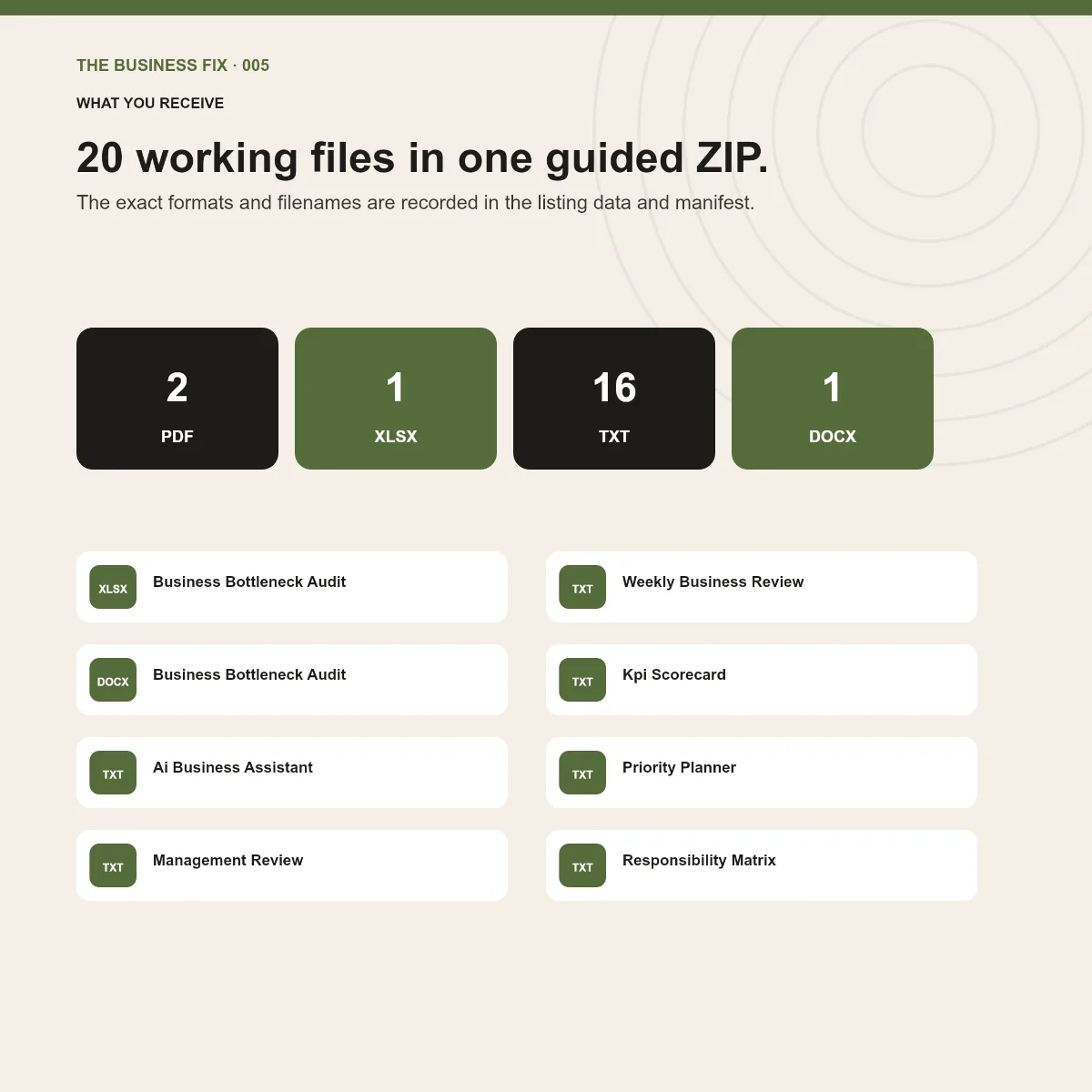 File formats and working tools included in Business Fix 005, Build Your Business Operating System